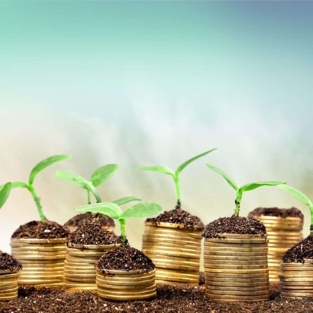 Las 6 inversiones que debes de hacer en tu negocio!
