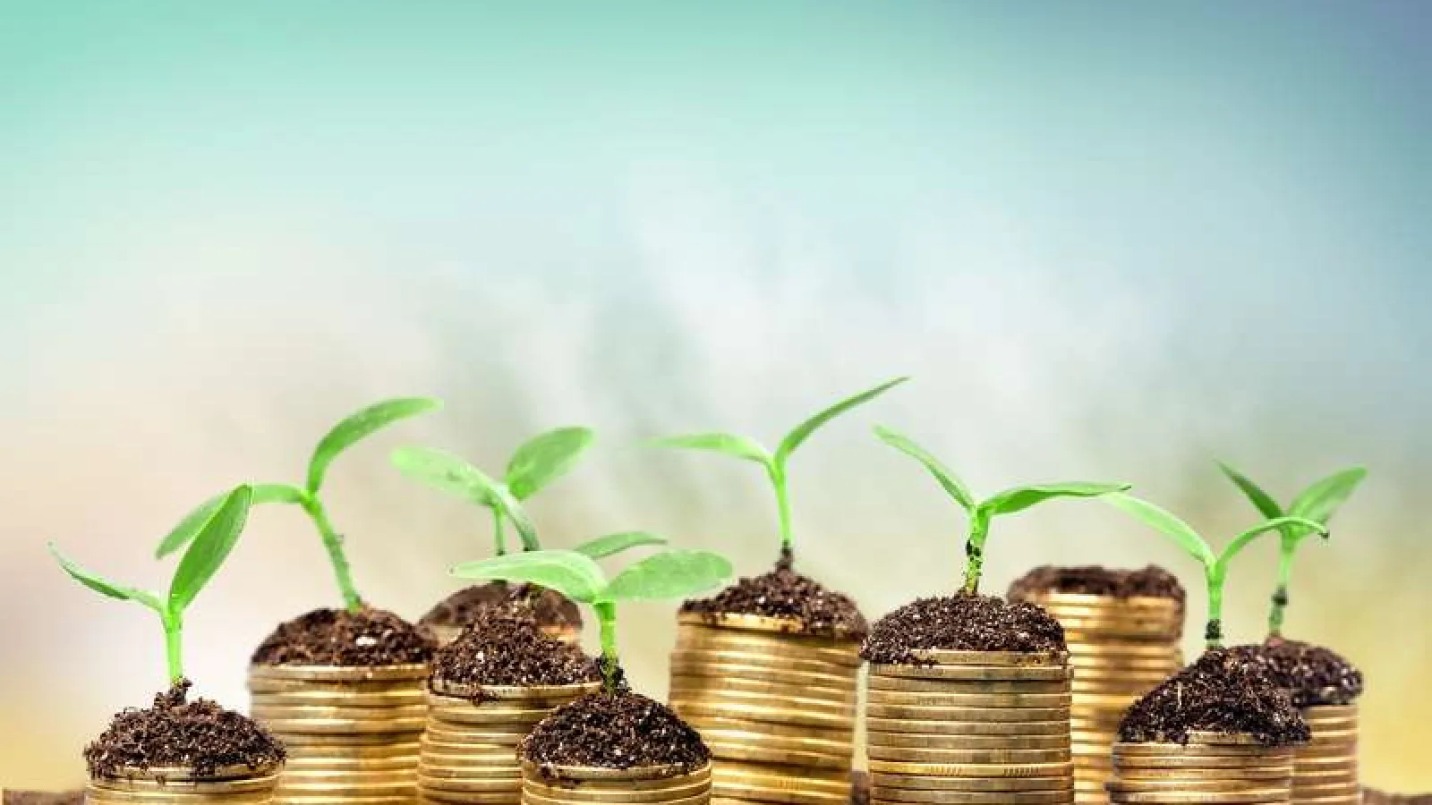 Las 6 inversiones que debes de hacer en tu negocio!