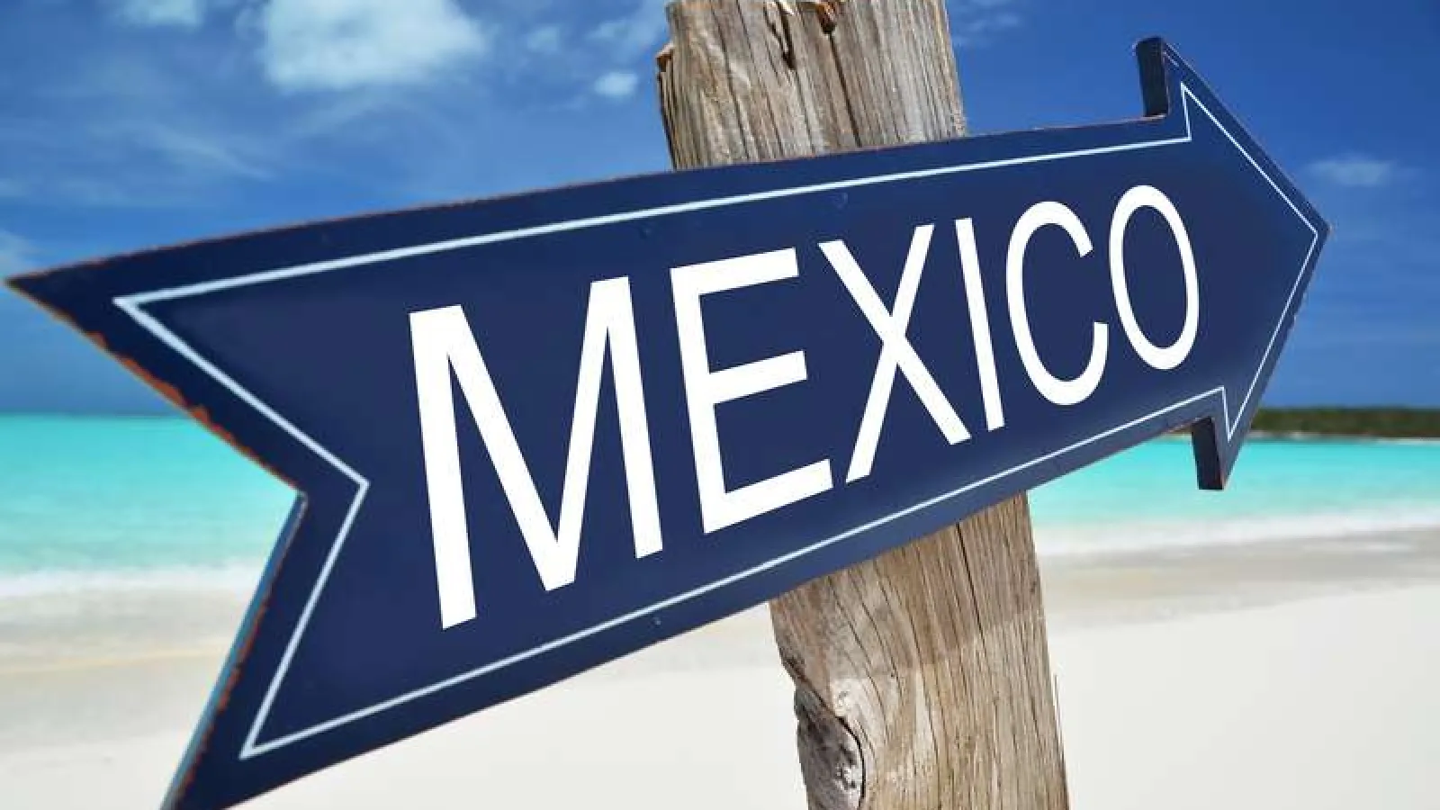 6 pasos que debe checar al contratar una empresa de SEO en Mexico!