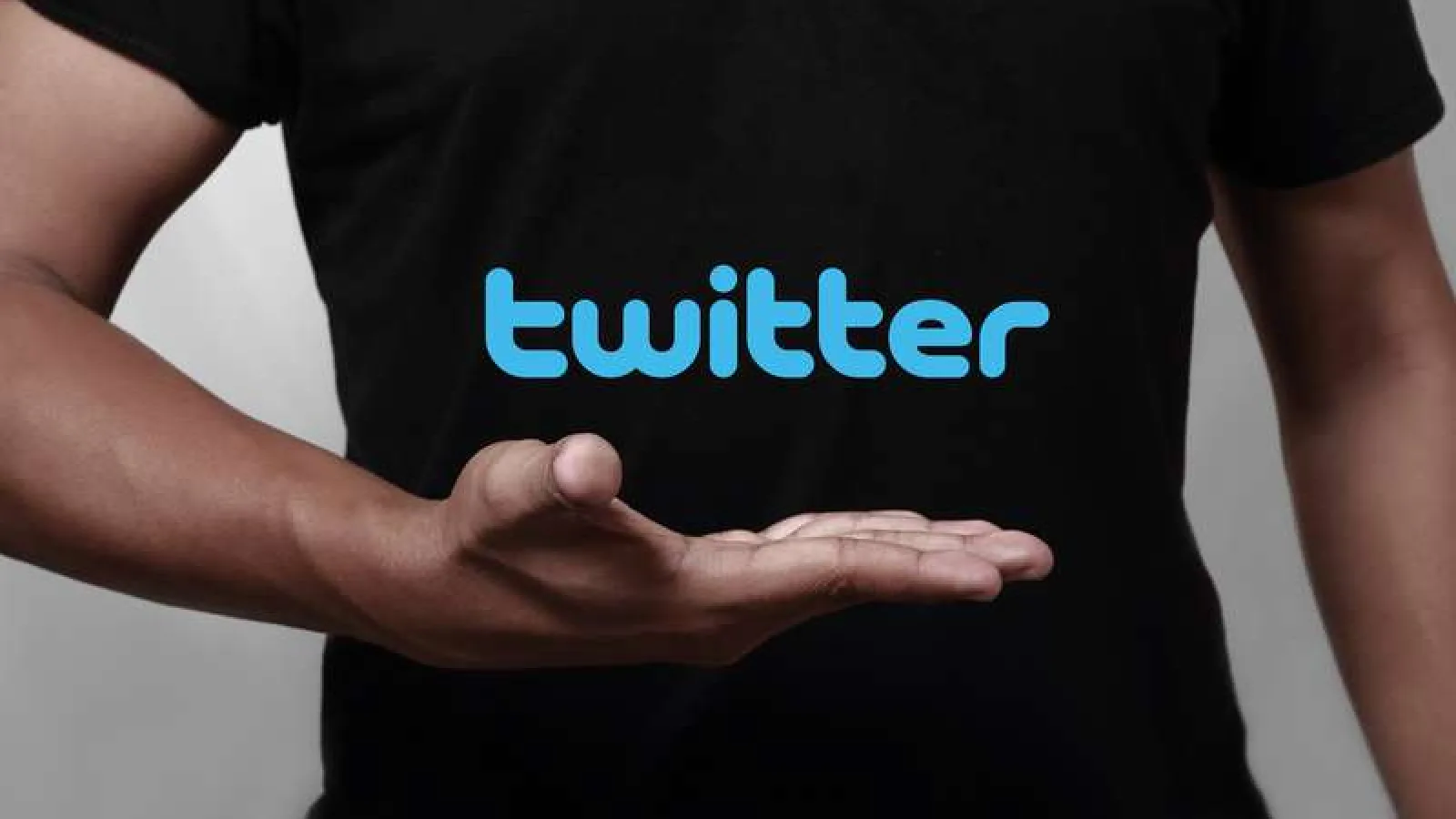 Estadísticas de Twitter disponibles para cualquier usuario