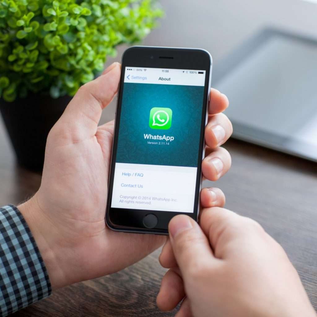 ¿Sabias que 95% de los usuarios de WhatsApp lo utilizan a diario?