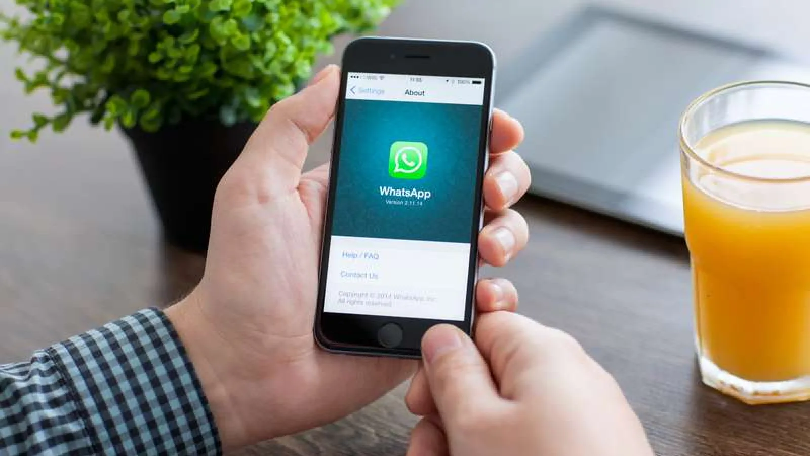¿Sabias que 95% de los usuarios de WhatsApp lo utilizan a diario?