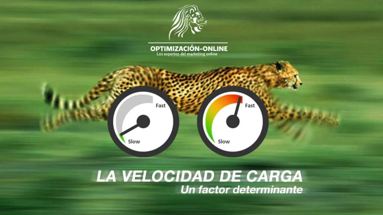 ¿Éxito o fracaso de tu página web? Velocidad de carga: un factor determinante.