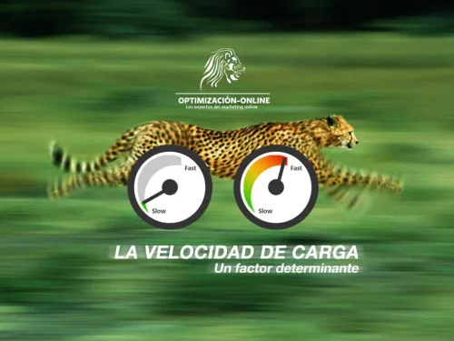 Velocidad de carga