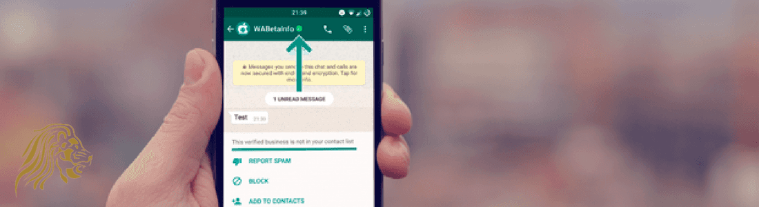 WhatsApp-creacion-contenidos