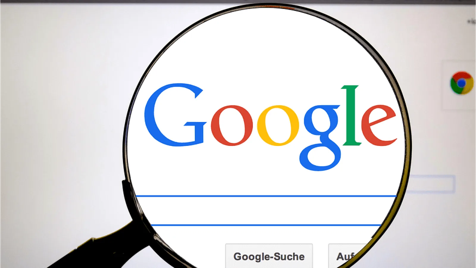 Algoritmo Florida 2, cambiando las reglas del SEO nuevamente