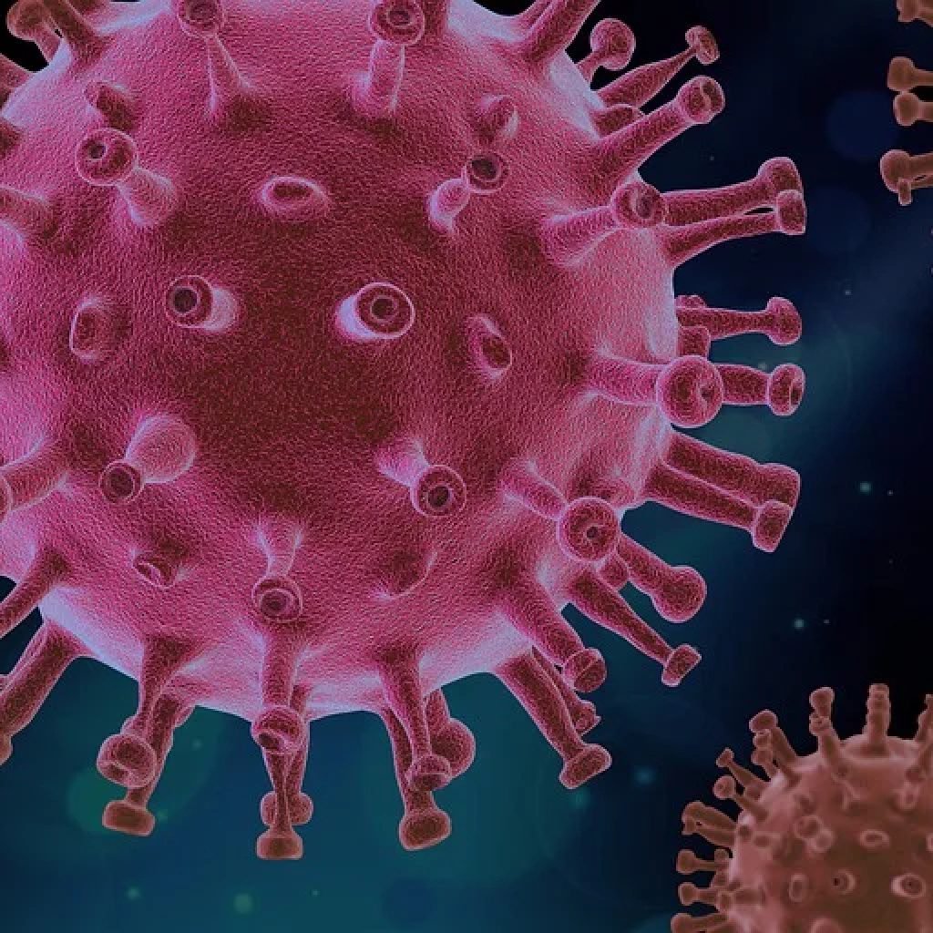 La perspectiva Post Coronavirus