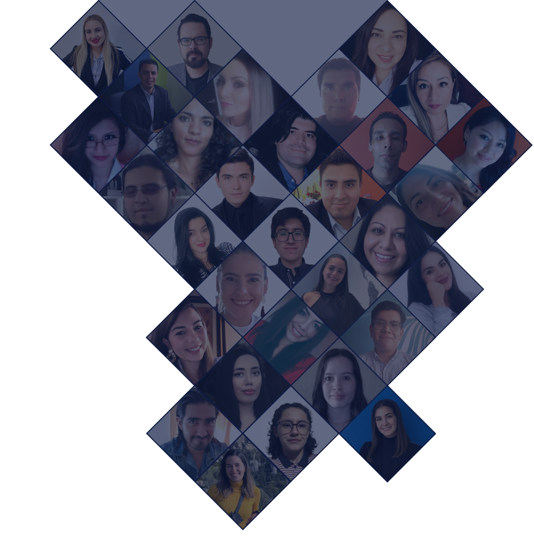 El equipo - Diseño y Optimización Online logo