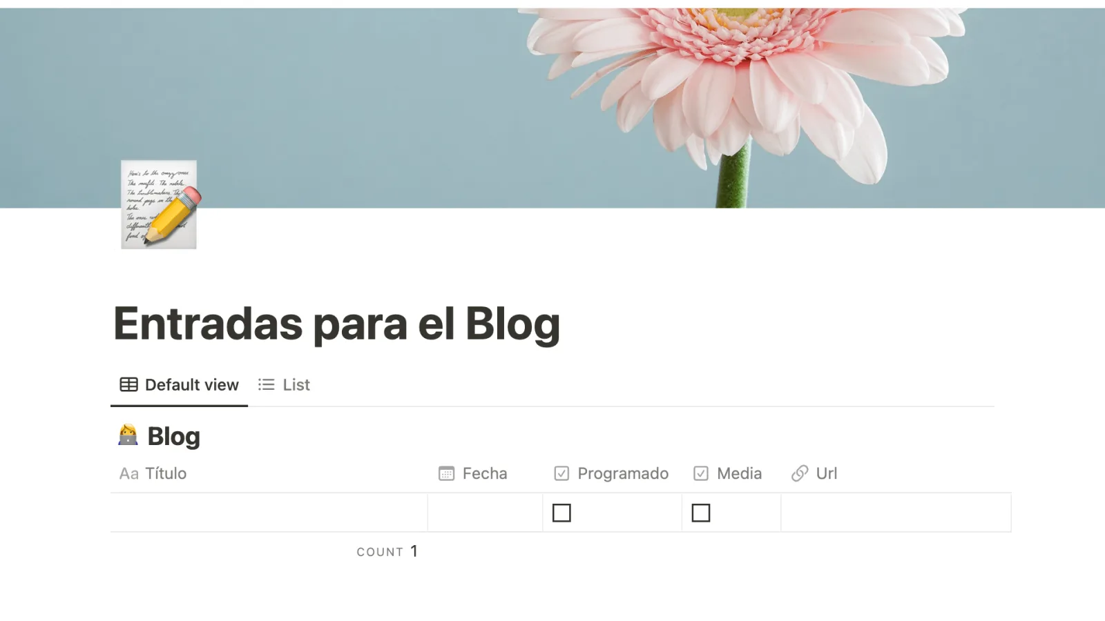¿Qué extensión debe tener una entrada de blog?