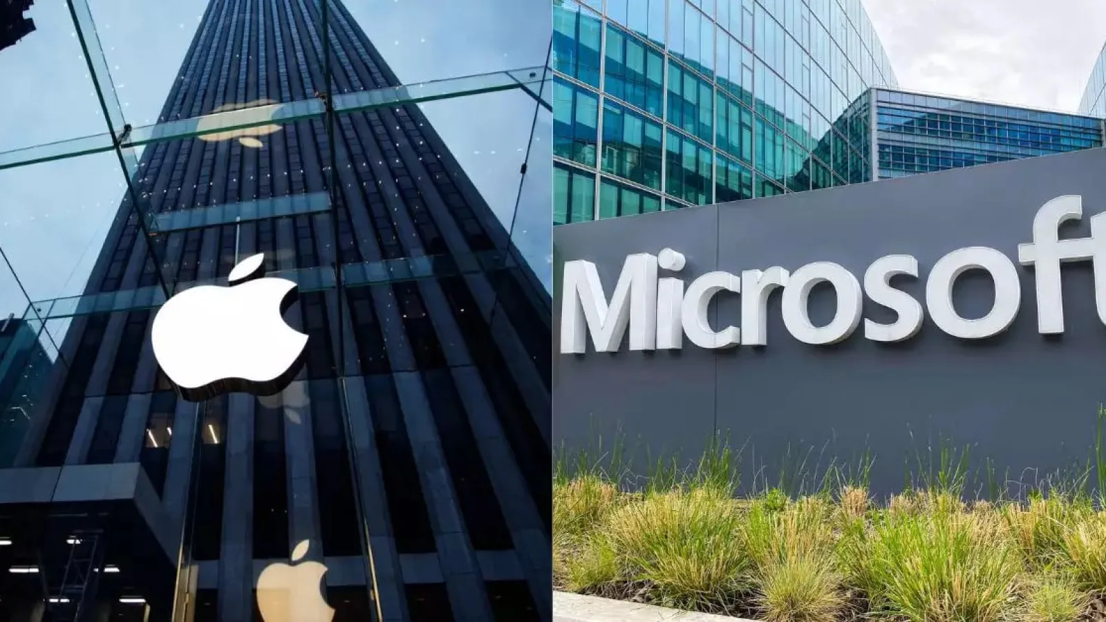 ¿Las campañas SEO difieren según el tamaño de la empresa?