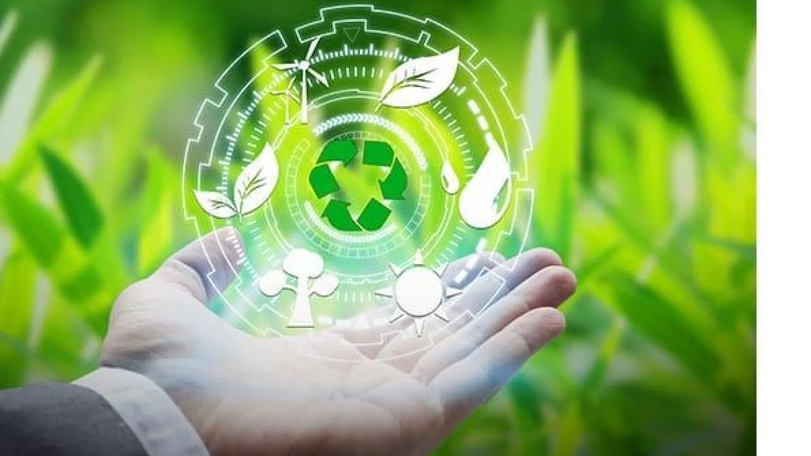 ¿Es posible un marketing verde?