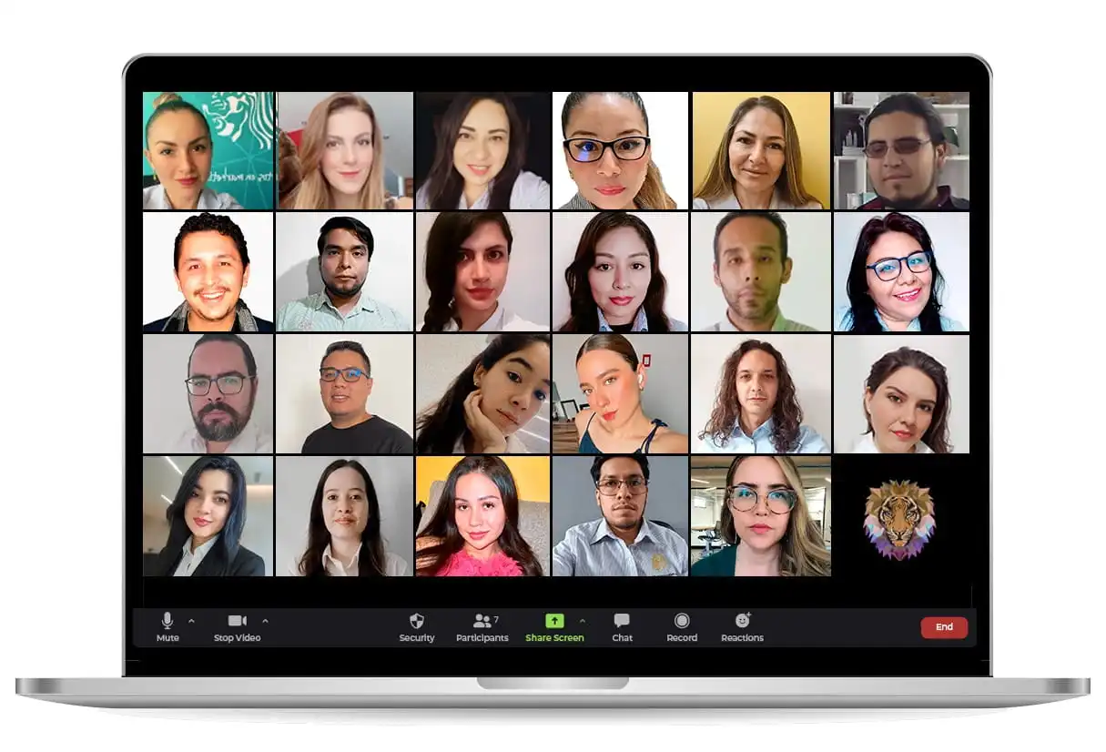 El equipo - Diseño y Optimización Online fotos